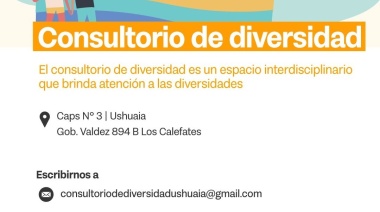 Los consultorios de diversidad son parte del mapa de efectores en hormonización e inhibición del desarrollo puberal de la Nación