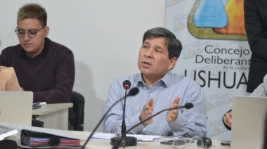 “No me imagino la escuela pública privatizada cobrando 76 mil pesos”, sostuvo Pino