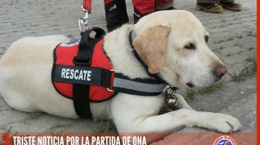 Murió Ona, la perra de rescate de Bomberos Ushuaia