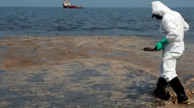 Alerta ambiental: Investigan un posible derrame de petróleo en Península Mitre