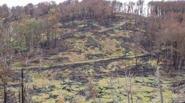 Confirmaron los procesamientos por el grave incendio forestal