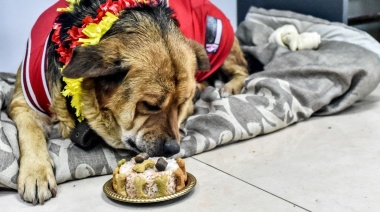 Zoonosis celebró los cumpleaños de mascotas y agradeció a las familias que realizaron adopciones