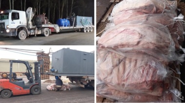 Decomisaron 4.580 kilos de carne escondidos en un depósito de agua