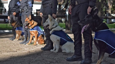 En el Día Nacional del Perro la Policía Federal lanzó un particular proyecto de adopción