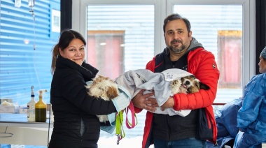 La Municipalidad realizó una jornada de castraión de canes