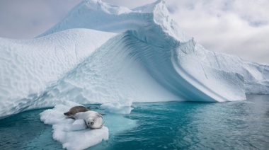 Rusia entregó un informe a la Argentina por el hallazgo de petróleo en la Antártida