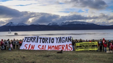 La polémica industria del salmón y por qué preocupa su expansión