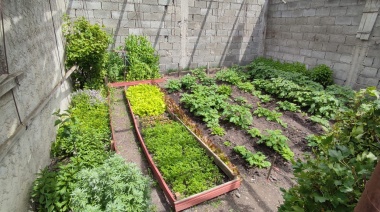 Tierra del Fuego tendrá su 1° Festival Provincial de Agroecología