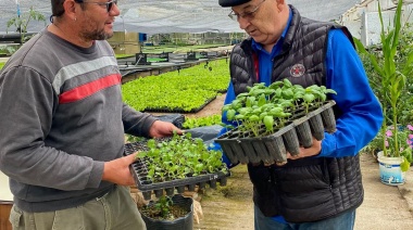 Río Grande repartirá casi dos millones de plantines de verduras para esta temporada