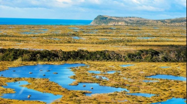 Designan a Península Mitre como “Sitio Ramsar”