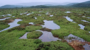 Investigadores de la UNTDF celebran la designación de Península Mitre como Sitio Ramsar