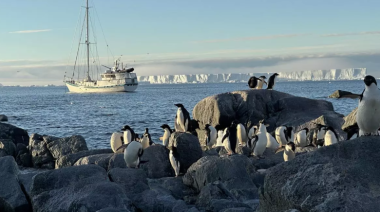 La gripe aviar se extiende por la Antártida sin afectar a los pingüinos