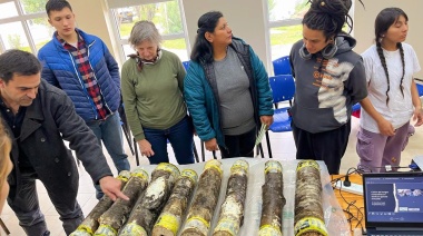 La Provincia avanza con ensayos de hongos cultivados en troncos de lenga