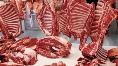 El Gobierno suspendió temporalmente el ingreso de carne con hueso a la Patagonia