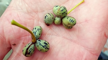 Se amplían las oportunidades para producir alimentos en Tierra del Fuego