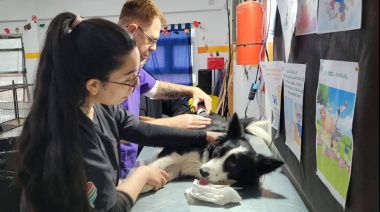 Tolhuin lanza la 3° campaña de salud veterinaria del año 2025