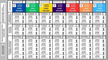 Boleta Única: En Tierra del Fuego hay 27 partidos habilitados para presentar candidatos
