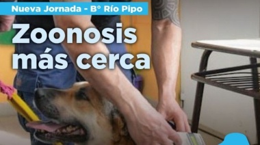 El Municipio realizará una nueva jornada "Zoonosis más cerca"en el barrio Río Pipo