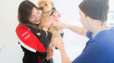 Más de 200 mascotas se atendieron en la jornada de "Zoonosis más cerca"