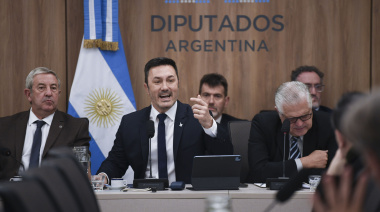 Petri defendió la reforma del Servicio Militar Voluntario en el Congreso