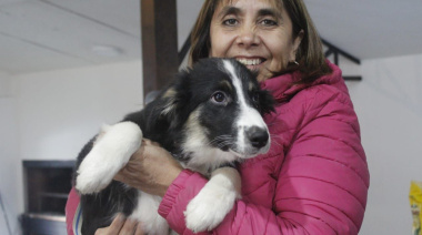 Zoonosis Municipal realizará una jornada de salud animal en el Paseo de las Rosas