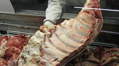 Finalmente se autorizó el ingreso de carne con hueso a la región Patagónica