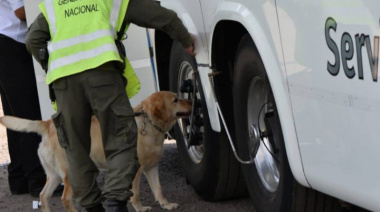 La Cámara Federal validó el control que realiza la Gendarmería en un puesto vial