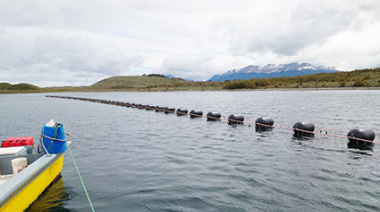 La Acuicultura Moderna: podría convertirse en una actividad sostenible en Tierra del Fuego