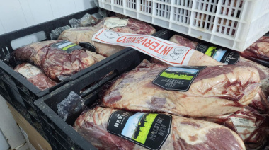 Ushuaia: Municipio incautó y descartó 900 kilos de carne