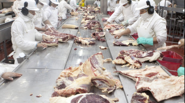 La Justicia suspendió por 30 días el ingreso de carne con hueso a la Patagonia
