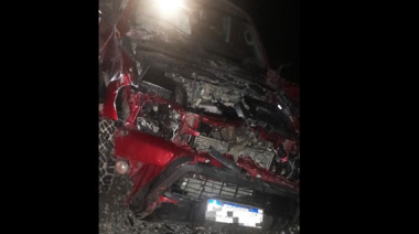 Una camioneta embistió a un vacuno en la Ruta 3