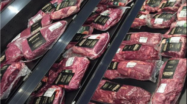 Medida del SENASA pone en riesgo el abastecimiento de carne en Tierra del Fuego