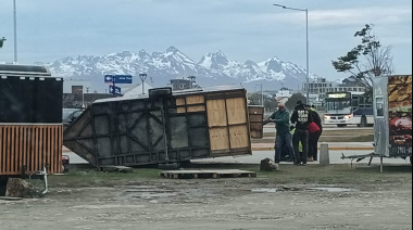 Temporal de viento causa caída de árboles y voladuras de techo