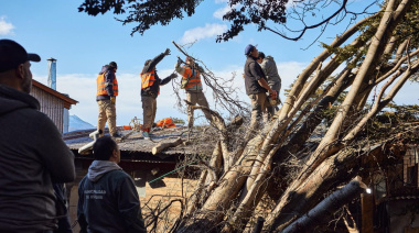 El Municipio continúa las tareas de limpieza tras el fuerte temporal de viento
