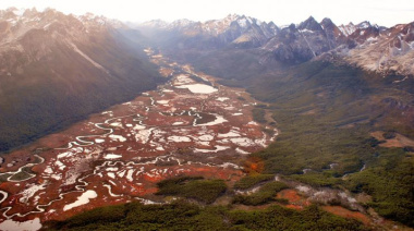 Presentaron resultados claves sobre captura de carbono en bosques y turberas fueguinas