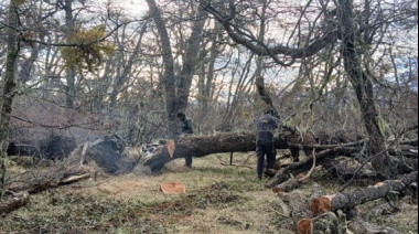 Se abrirán nuevos senderos en la Zona Sur del Parque Nacional Los Glaciares