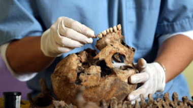 Invitan a Jornadas de Antropología Forense en Río Grande y Ushuaia
