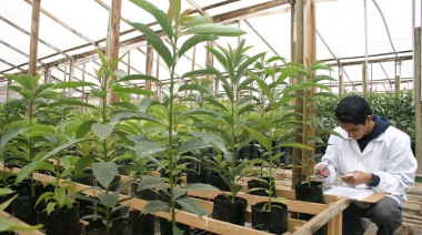 Llega la semana fueguina de la ciencia y la tecnología