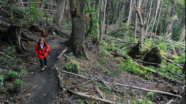El Parque Nacional brindó información sobre el estado de senderos y caminos