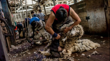 Prorrogaron la norma que permite trabajar en el campo temporalmente sin perder los planes sociales