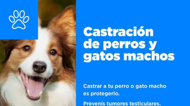 La Municipalidad impulsa jornadas gratuitas de castración en Ushuaia