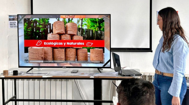 Se realizó la audiencia pública del proyecto "Brik Nic" de fabricación de briquetas y pellets de madera