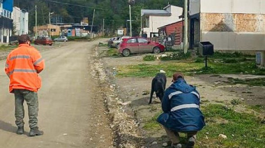 La Municipalidad realizó controles para promover la tenencia responsable de mascotas