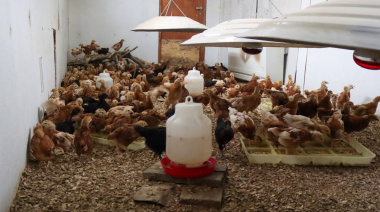 El Municipio concretó una nueva entrega de aves a productores de Tolhuin