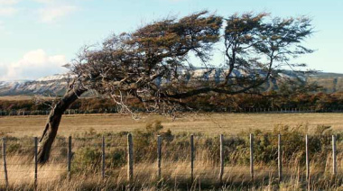 Defensa Civil realizó recomendaciones ante alerta amarilla por fuertes vientos