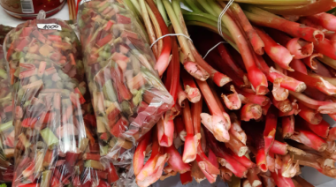 Se llevará adelante el 3er encuentro Producción Fueguina para el Sector Turístico