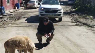 Zoonosis municipal labró actas de infracción por perros sueltos en Dos Banderas