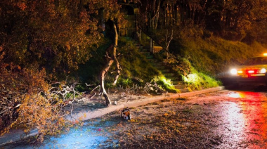 Fuertes vientos: La Municipalidad activó el Comando de Incidentes