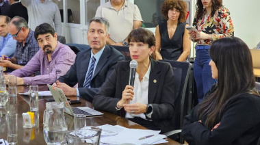 La Secretaría de Industria expuso ante legisladores la situación actual del sector