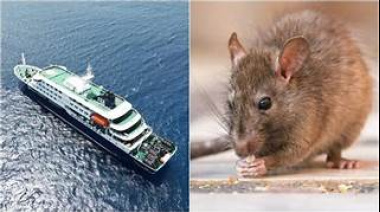 Salud provincial continúa con el seguimiento de la situación relacionada con los casos de hantavirus